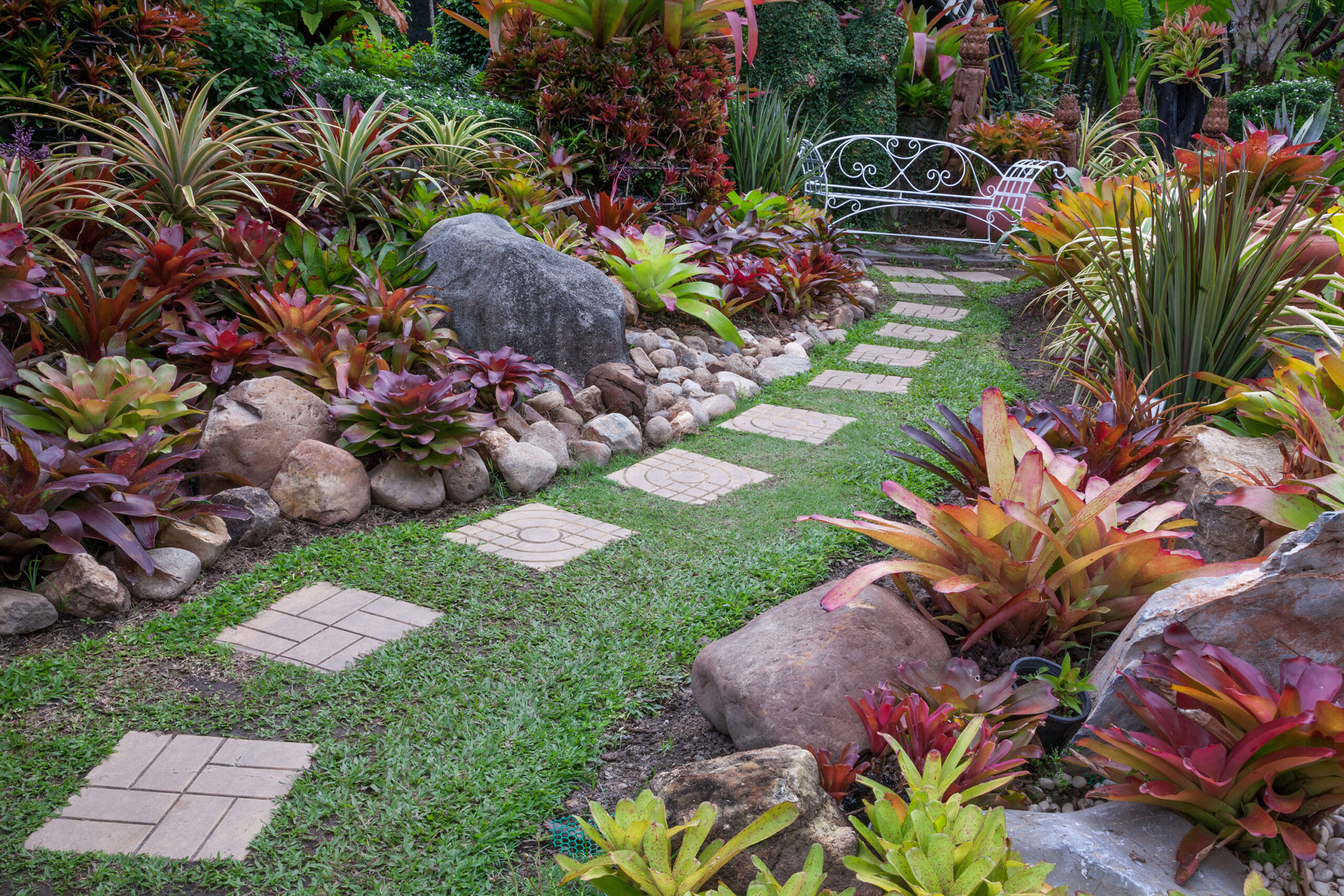 Garden design ,walk way.